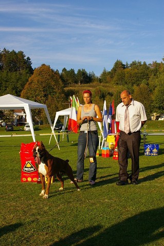 www.boxer-show.eu